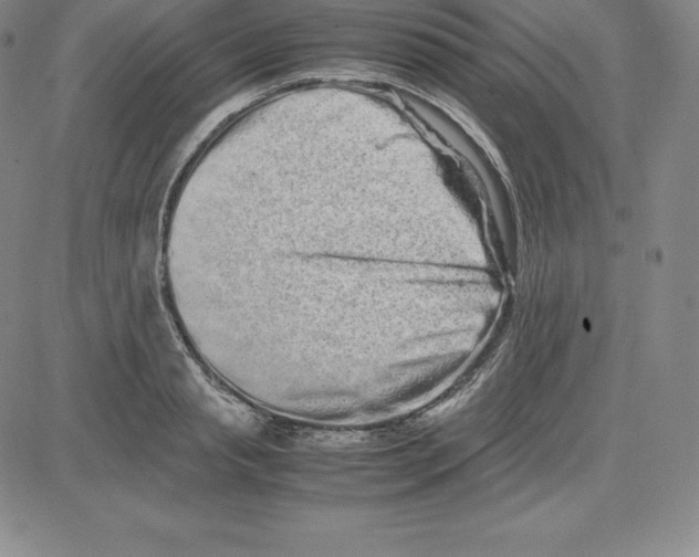 X0000080110845200701051328