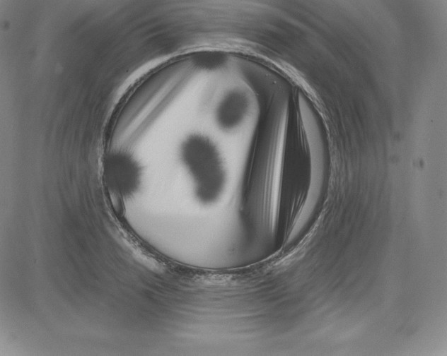 X0000080110846200701051328