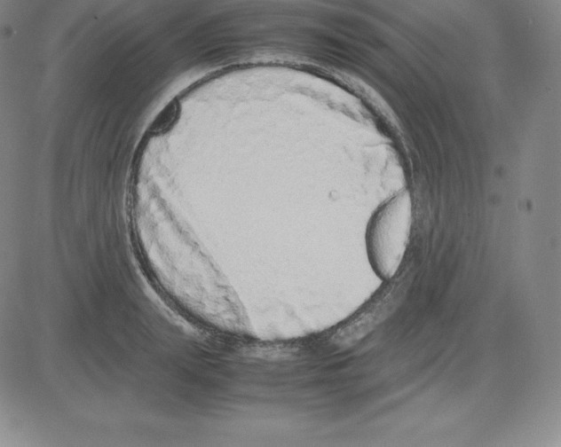 X0000080110847200701051328