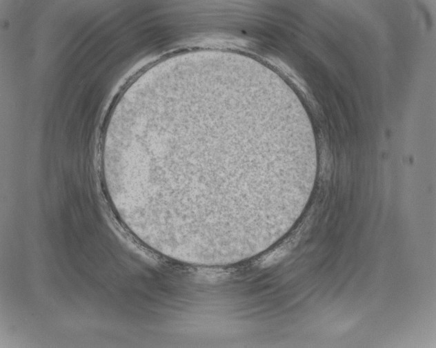 X0000080110848200701051328