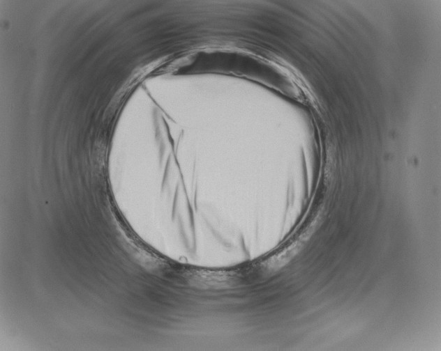 X0000080110849200701051328