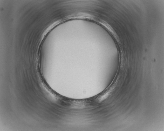 X0000080110850200701051328