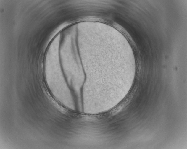 X0000080110852200701051328