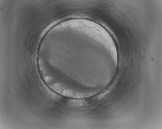 X0000080110853200701051328