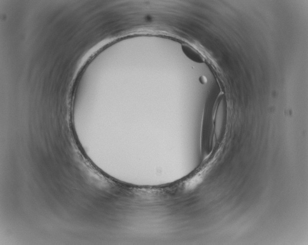 X0000080110854200701051328