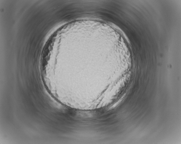 X0000080110855200701051328