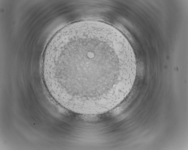 X0000080110856200701051328