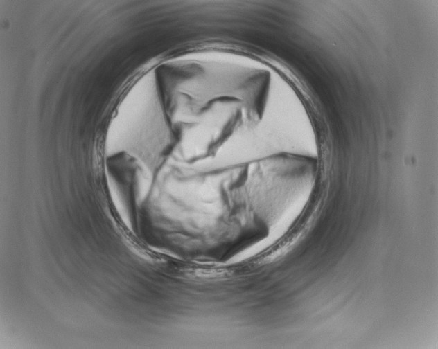 X0000080110857200701051328