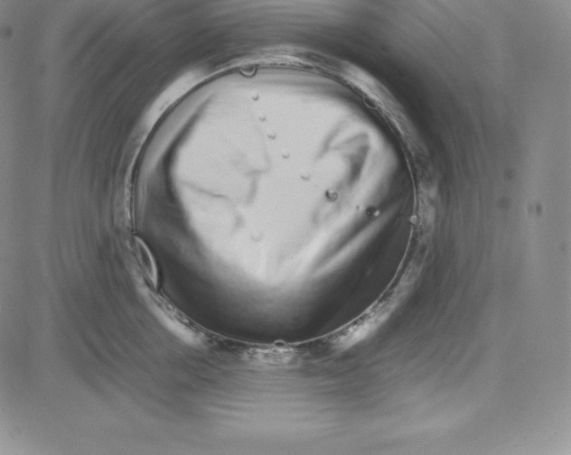 X0000080110858200701051328