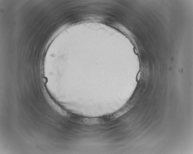 X0000080110859200701051328