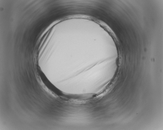 X0000080110860200701051328