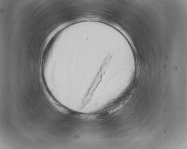 X0000080110861200701051328