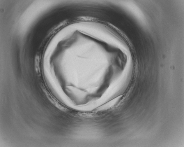 X0000080110862200701051328