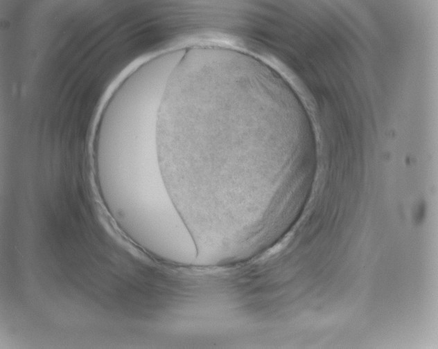 X0000080110864200701051328