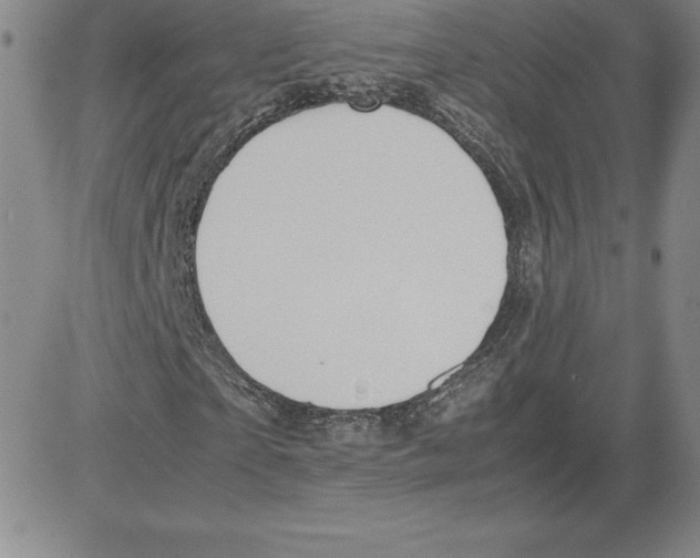 X0000080110865200701051327