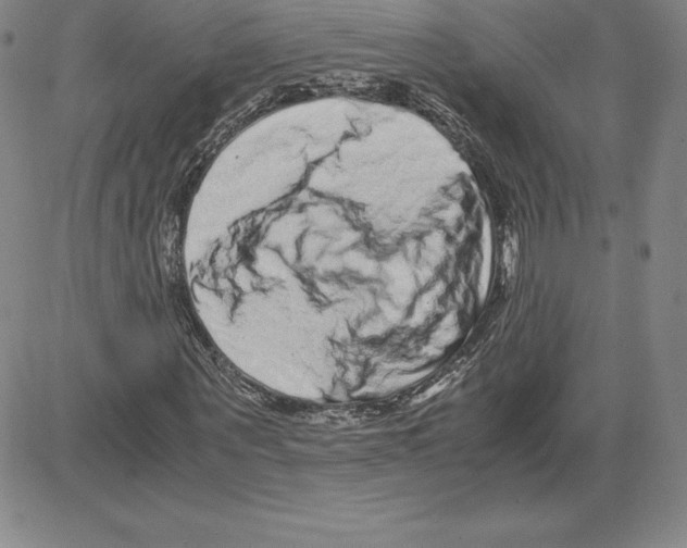 X0000080110867200701051327