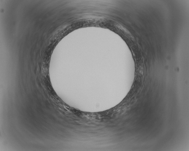 X0000080110869200701051327