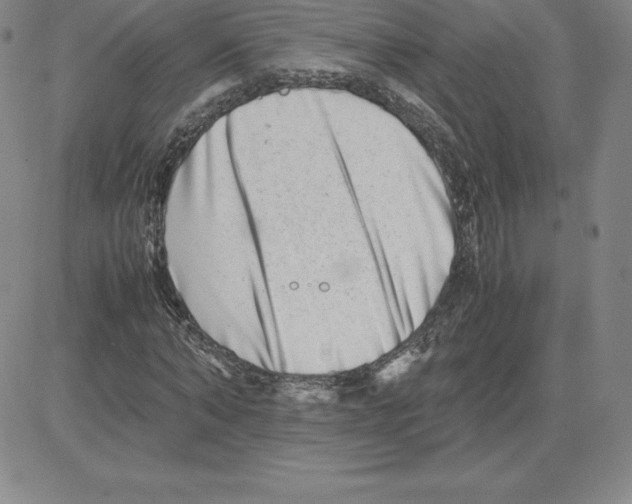 X0000080110870200701051327