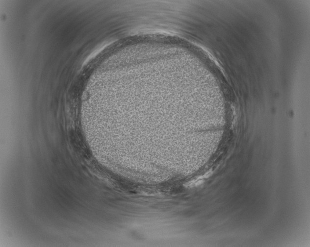 X0000080110871200701051327