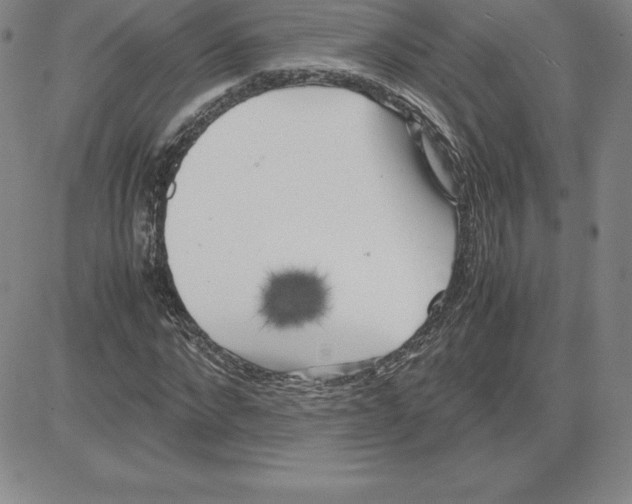 X0000080110872200701051327