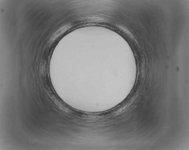 X0000080110873200701051327