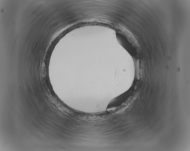 X0000080110876200701051327