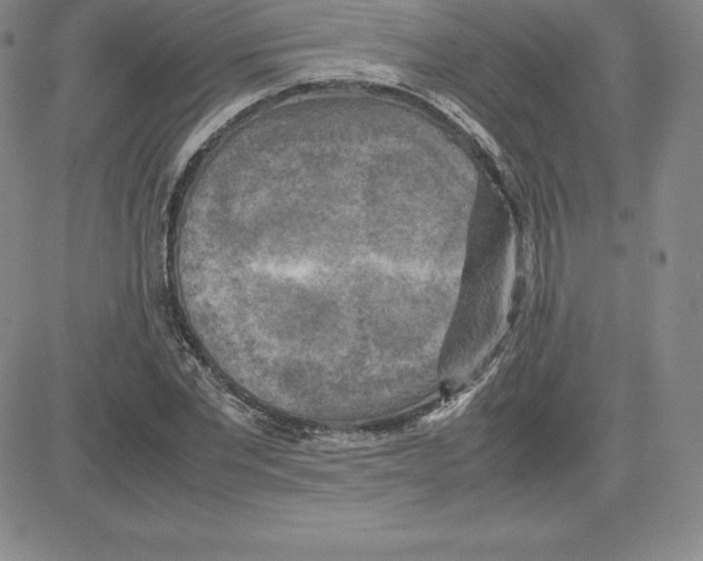 X0000080110877200701051327