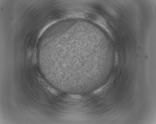 X0000080110878200701051327