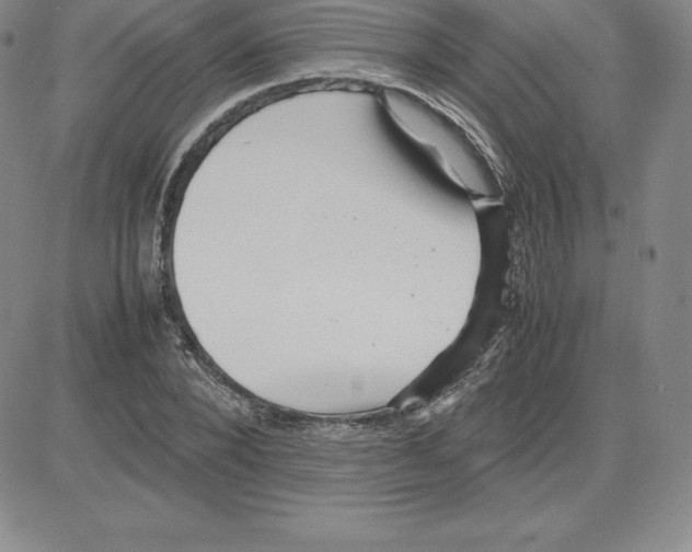 X0000080110880200701051327