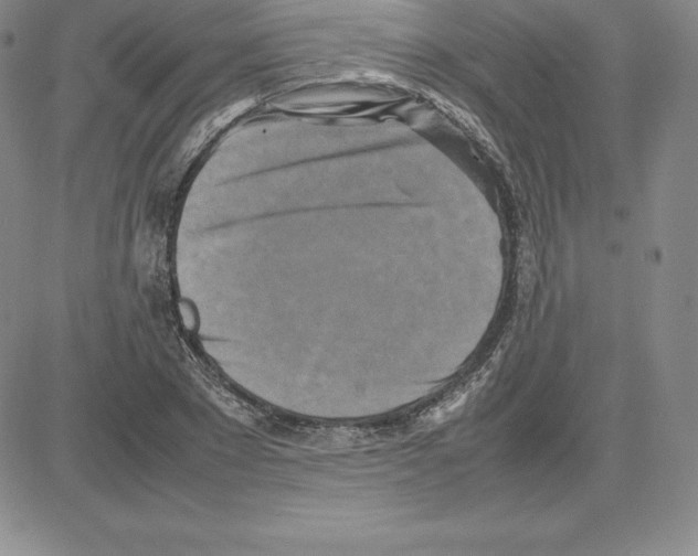 X0000080110881200701051327