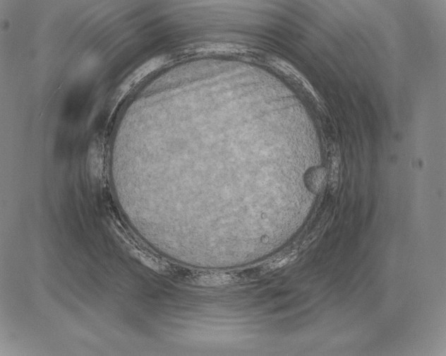 X0000080110882200701051327