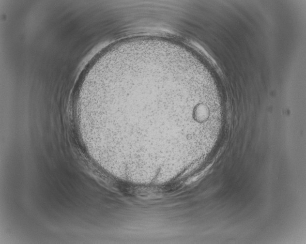 X0000080110883200701051327