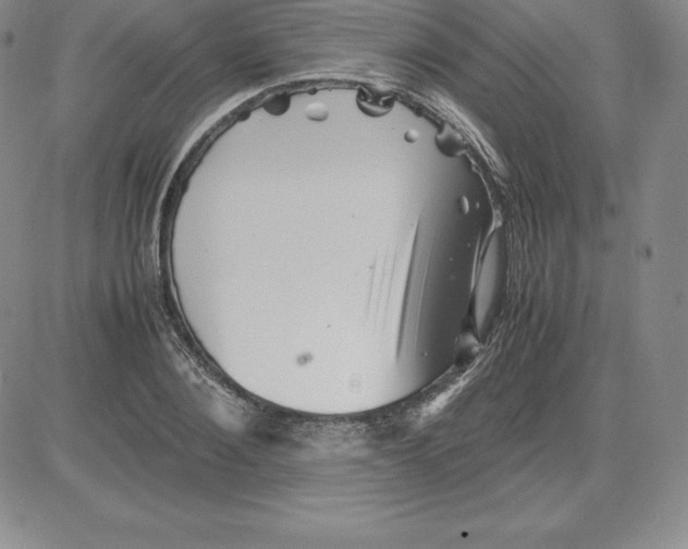 X0000080110884200701051327