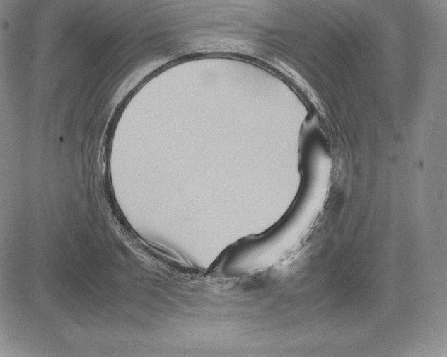 X0000080110885200701051327