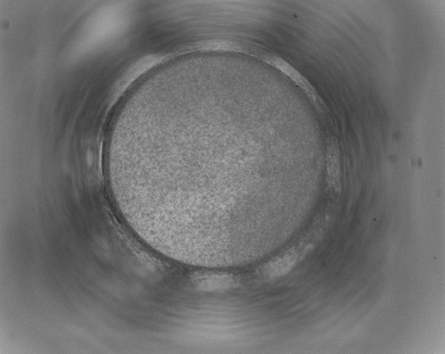 X0000080110886200701051327