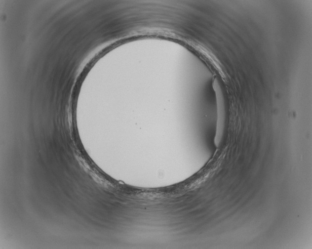 X0000080110888200701051327