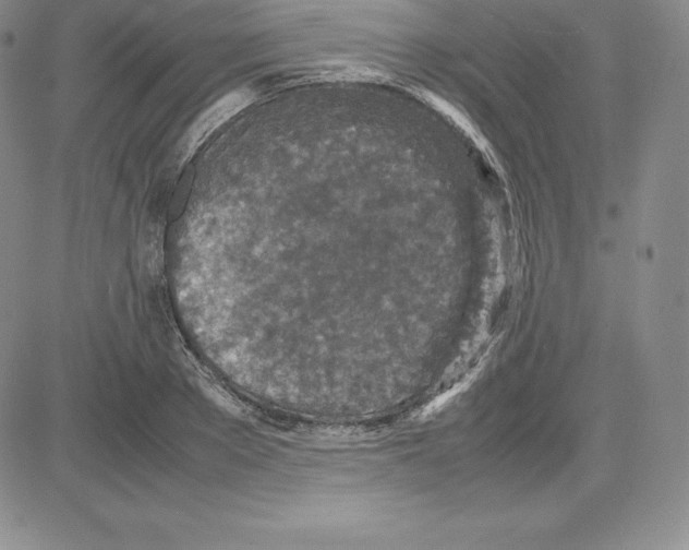 X0000080110889200701051327