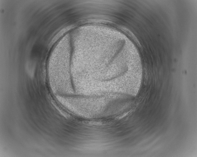 X0000080110890200701051327