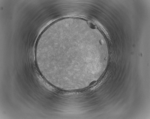 X0000080110892200701051327