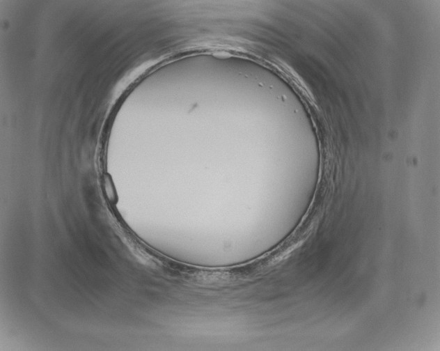 X0000080110893200701051327