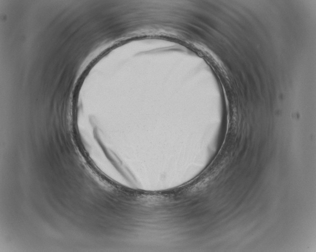 X0000080110894200701051327