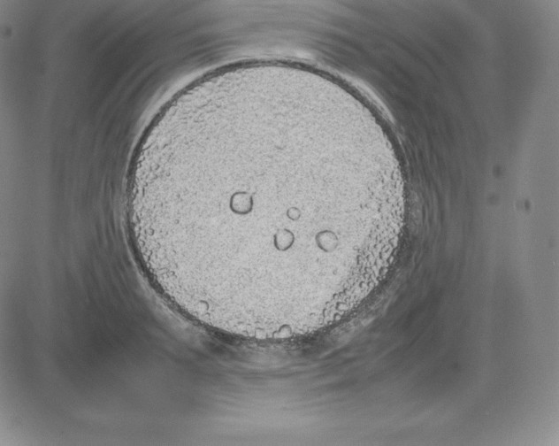 X0000080110895200701051327