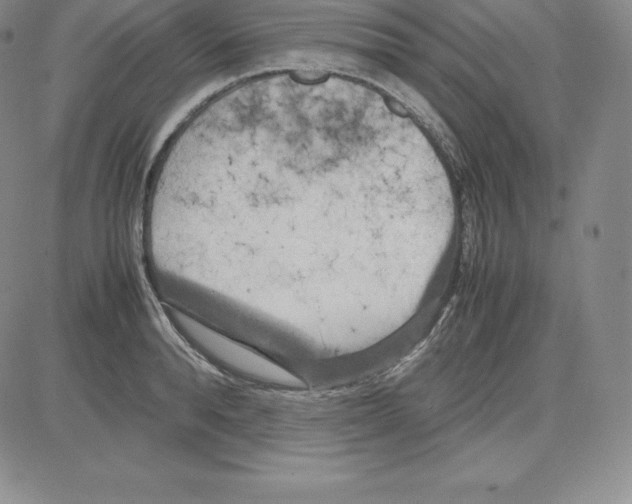 X0000080110896200701051327