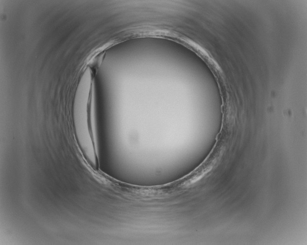 X0000080110897200701051327