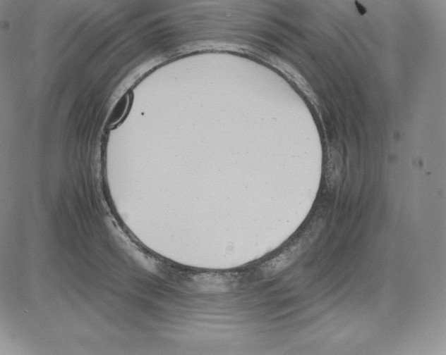 X0000080110898200701051327