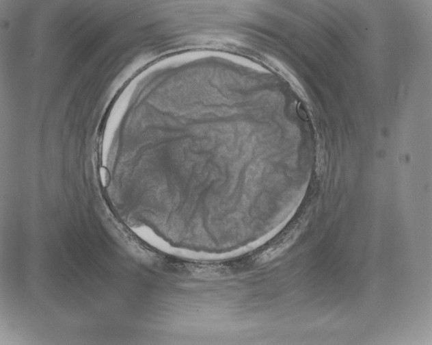 X0000080110899200701051326