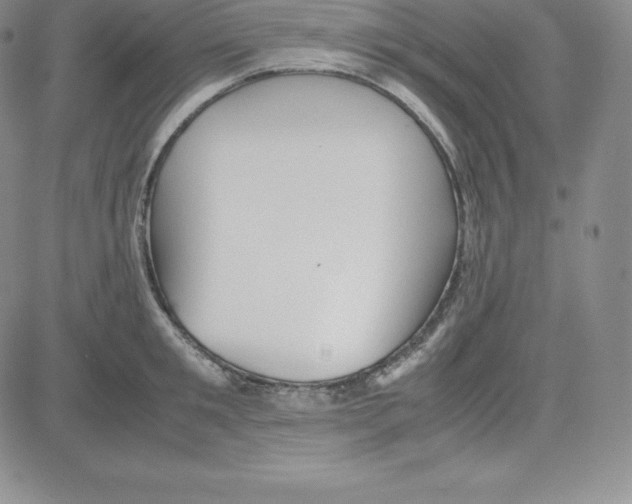 X0000080110901200701051326