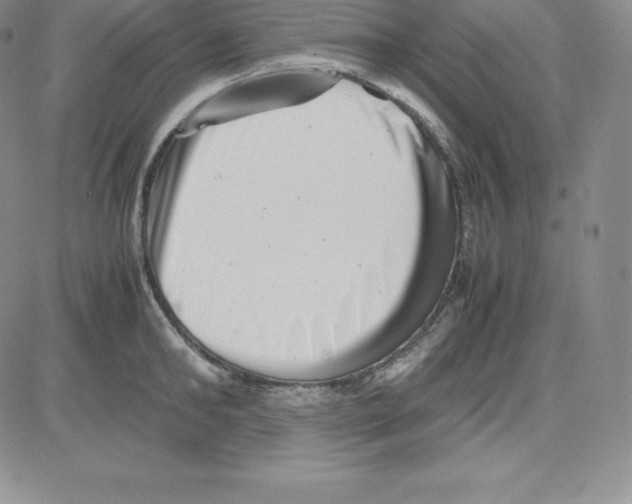 X0000080110902200701051326