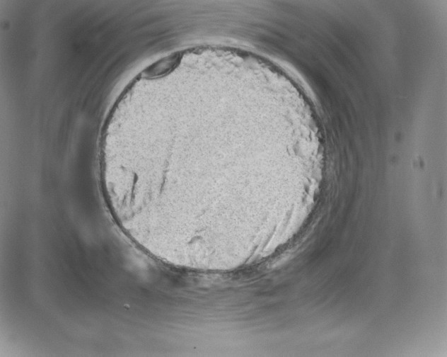 X0000080110903200701051326