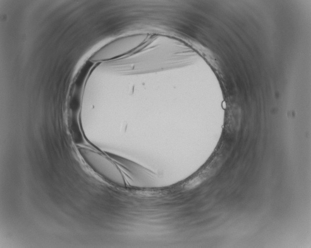 X0000080110904200701051326